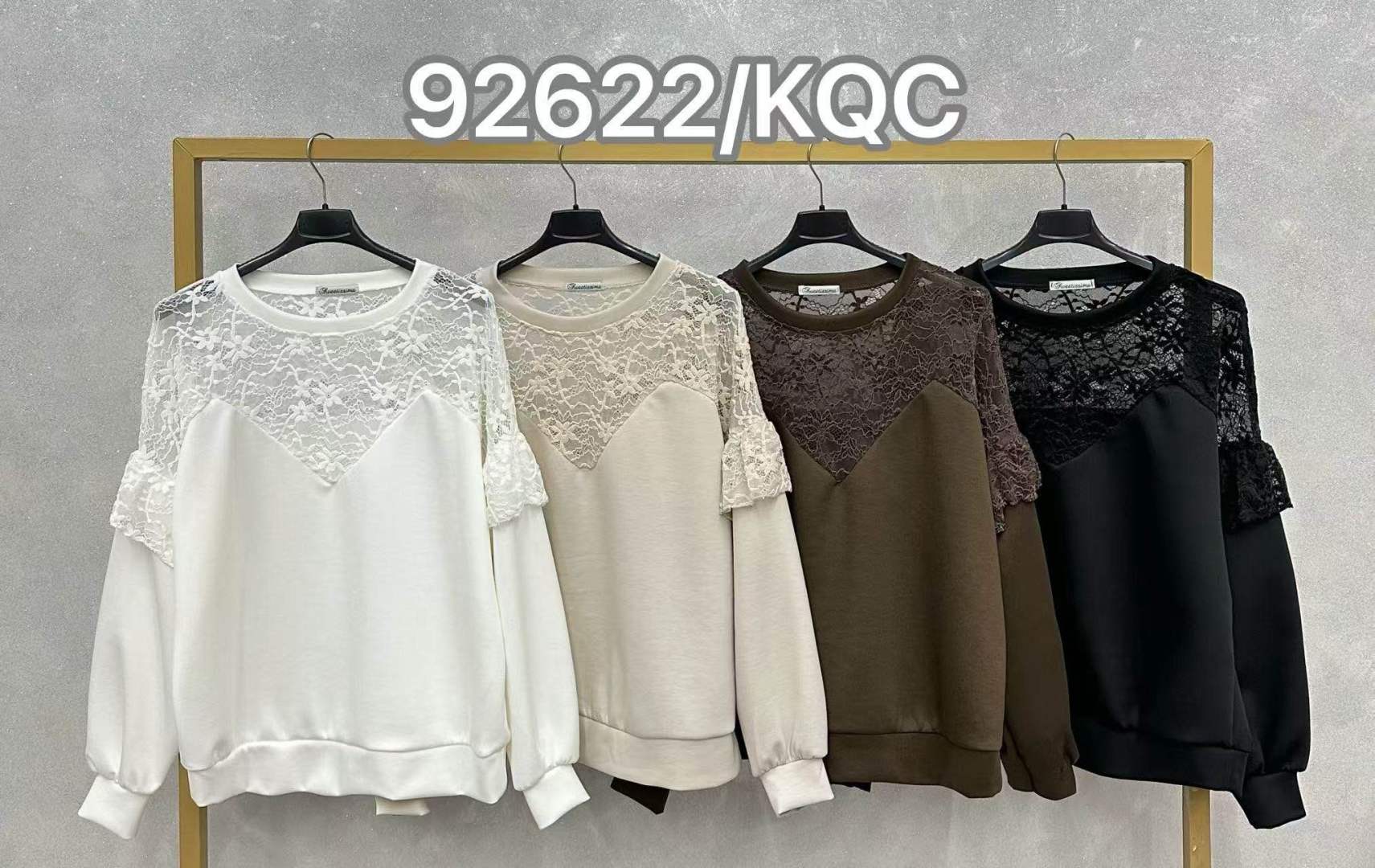 Regular Lace Insert Blouse