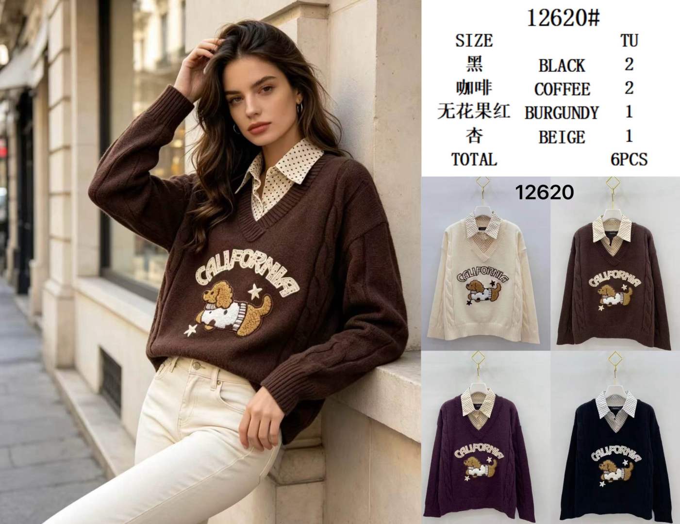 V-Neck Sweater with Embroidery