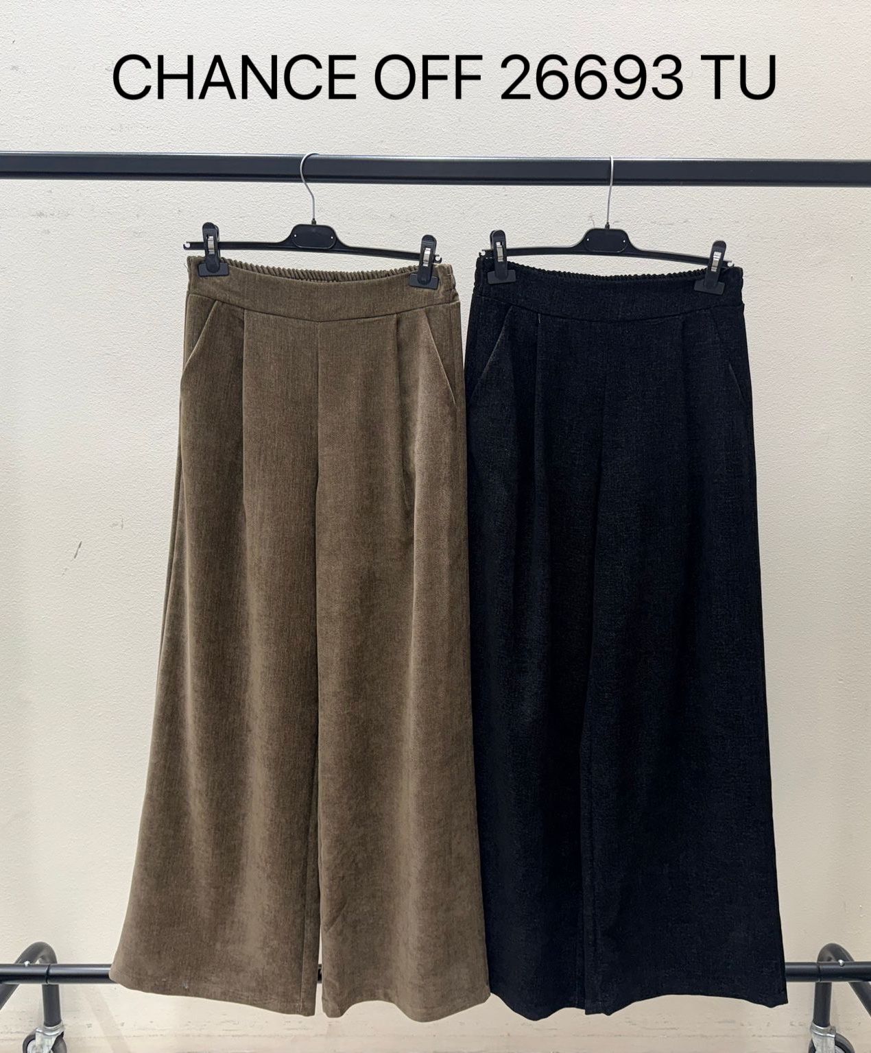 Wide-Leg Pleated Trousers