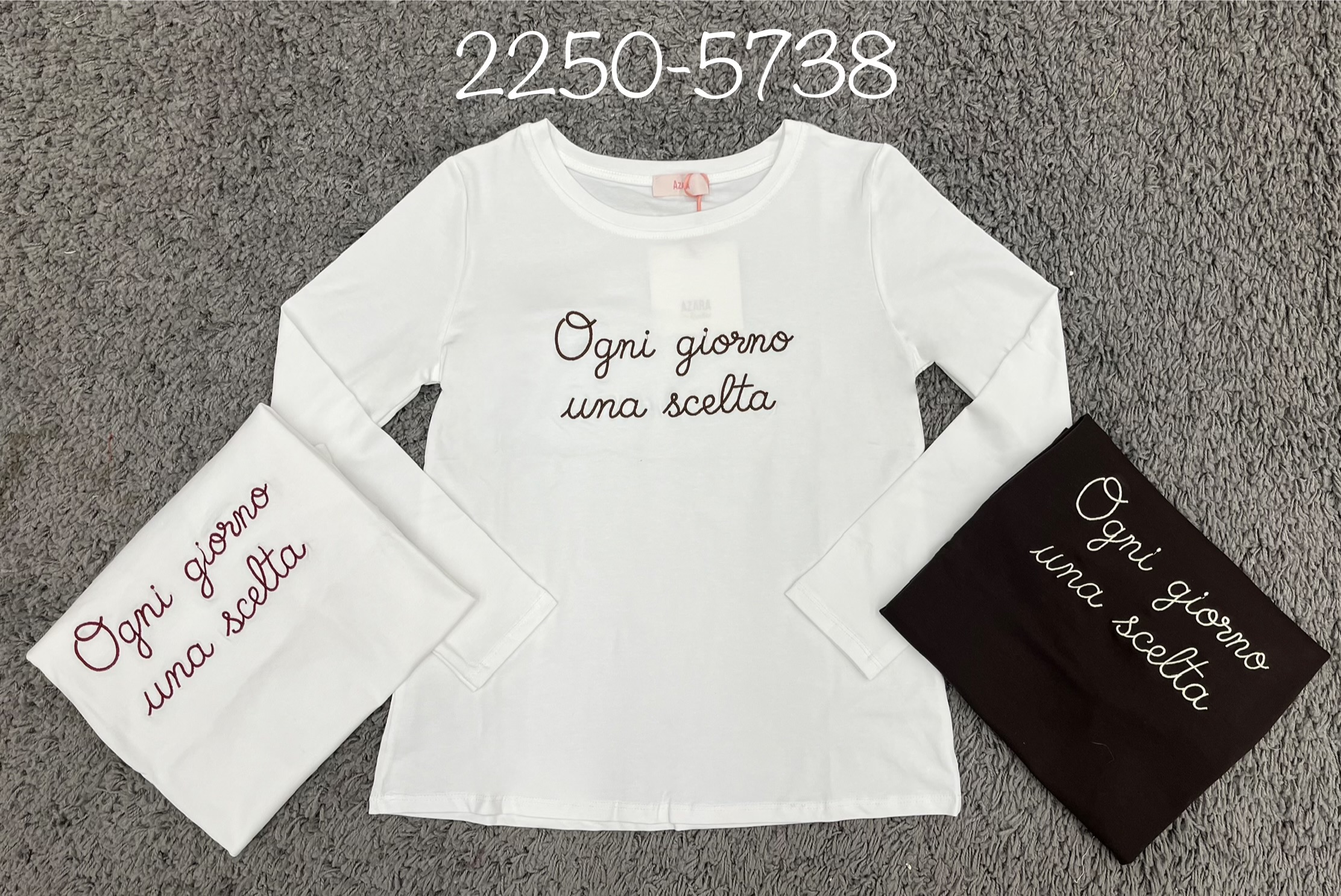 Fitted Embroidered Top