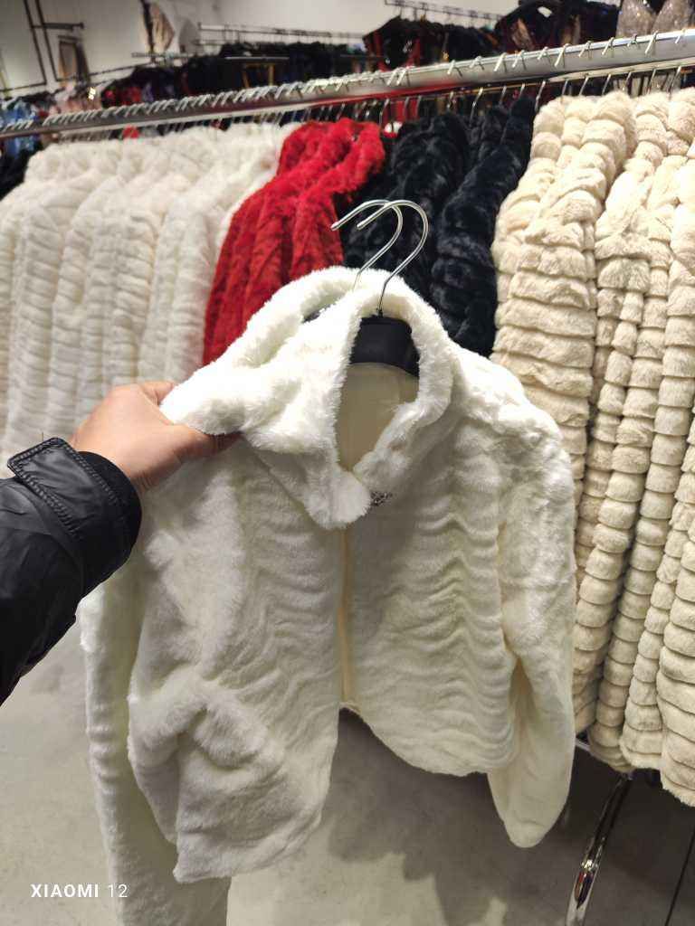 Cropped Jacket with Collar