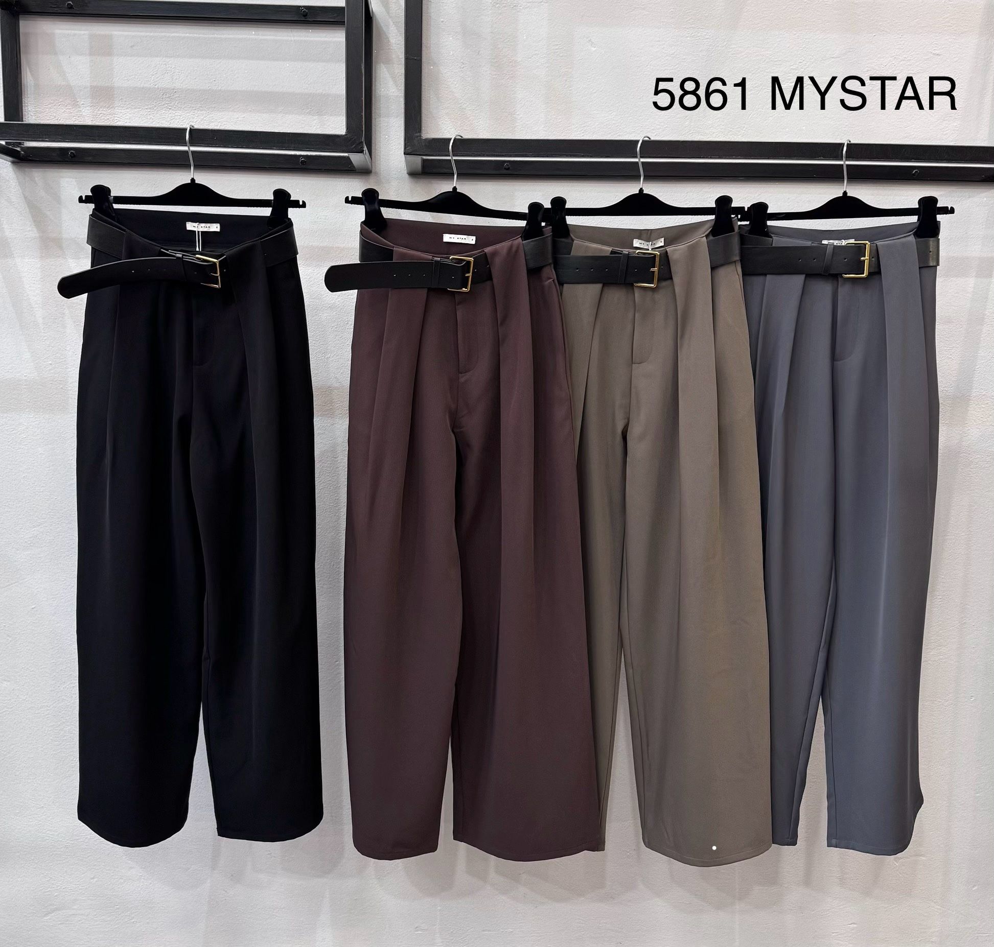 Wide Pleated Trousers