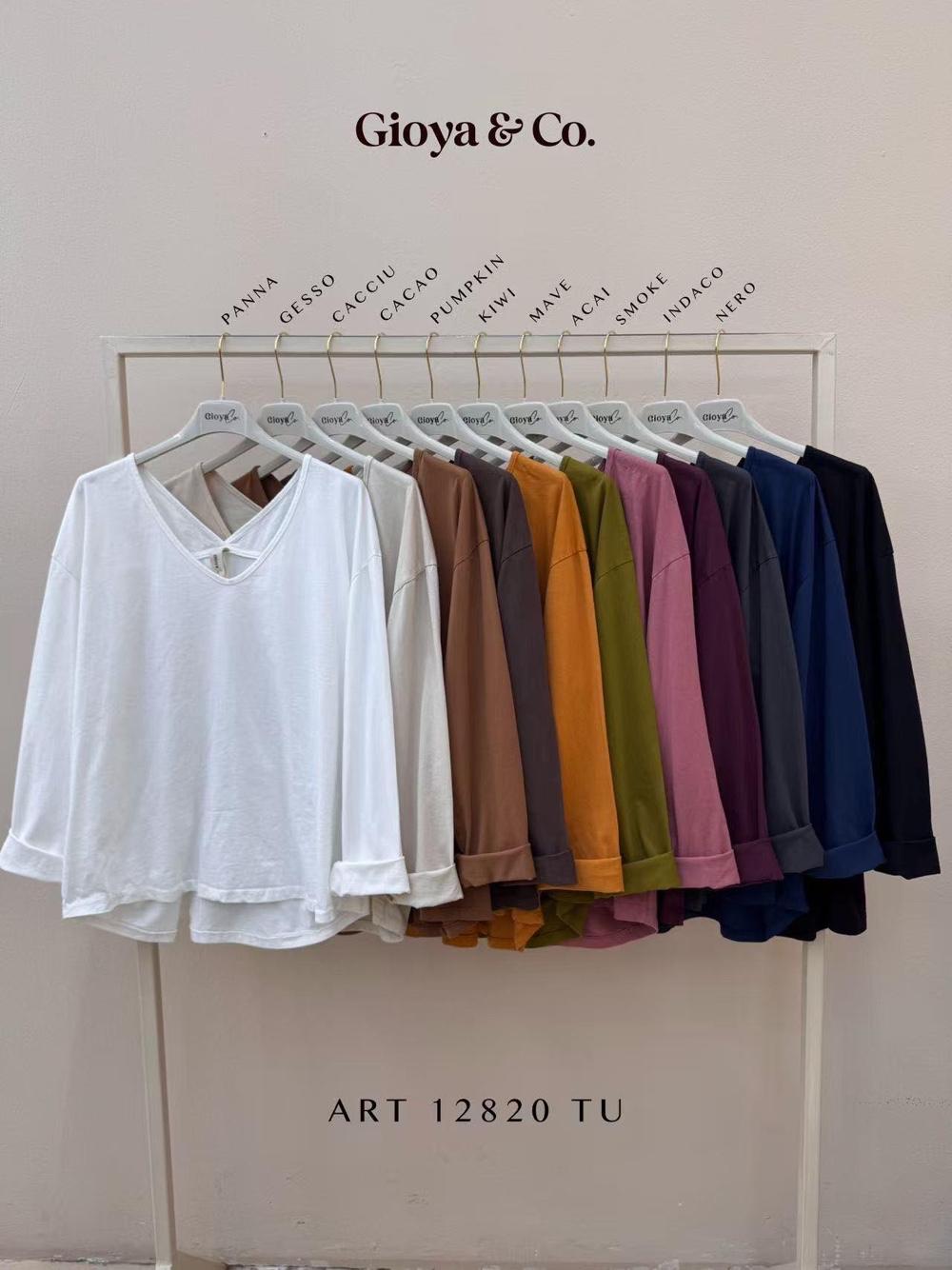 Loose V-Neck Blouse