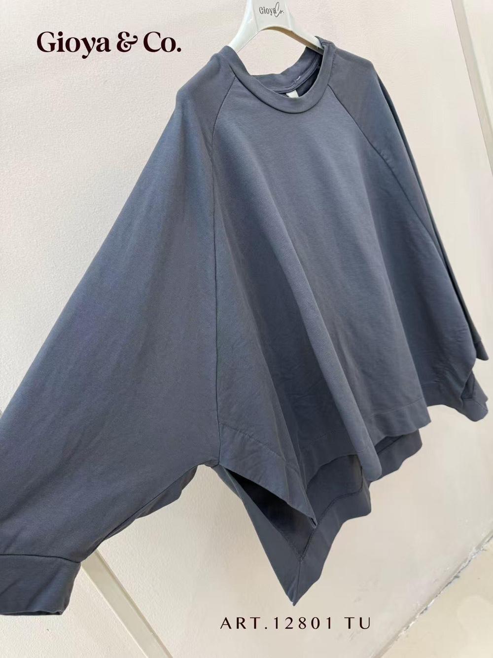 Oversize Raglan Top