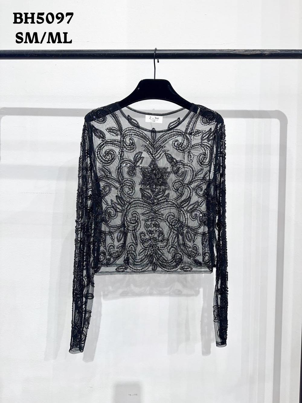 Cropped Sequin Mesh Top